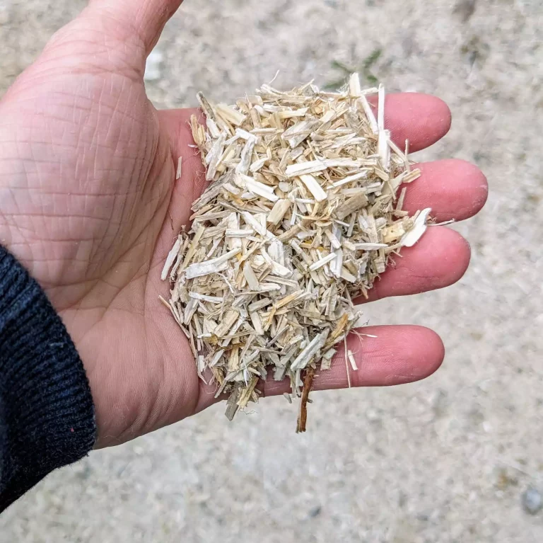 Isolation chanvre : 3 matériaux pour une maison plus saine